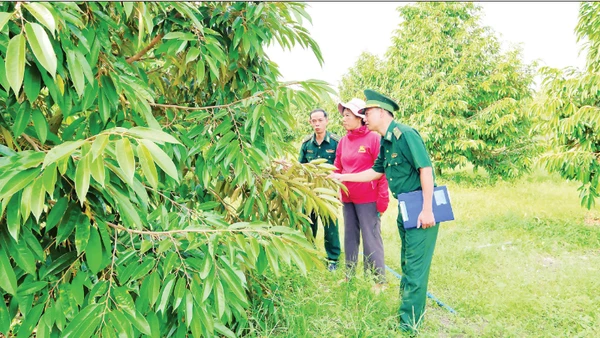 Đảng viên Đồn Biên phòng Tân Thành (Bộ đội Biên phòng tỉnh Đồng Nai) xuống cơ sở hỗ trợ nhân dân phát triển kinh tế, đồng thời nắm thông tin ở khu dân cư biên giới thông qua hộ gia đình mình phụ trách.