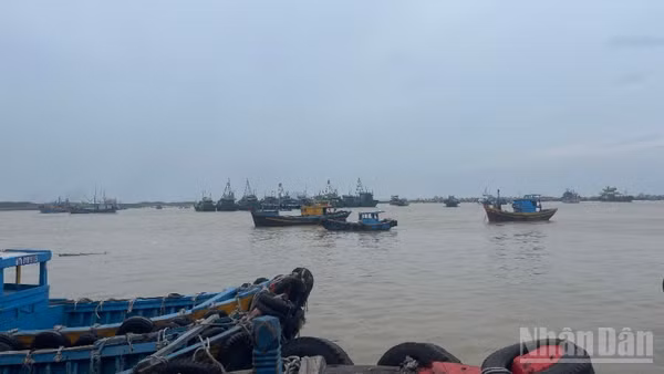Nhiều tàu cá vào cảng cá La Gi.