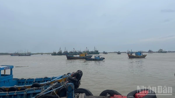 Nhiều tàu cá vào cảng cá La Gi.