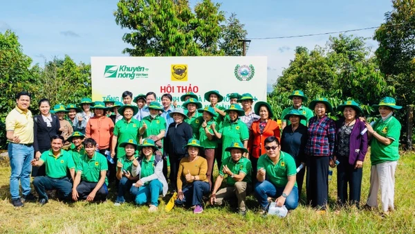 Nông dân Tây Nguyên tham dự Hội thảo tổng kết mô hình “Canh tác cà phê thông minh thích ứng với biến đổi khí hậu” giai đoạn 2023–2025 do Công ty cổ phần Phân bón Bình Điền, Trung tâm Khuyến nông Quốc gia và Viện Wasi tổ chức.
