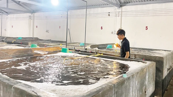 Nếu di dời vị trí mới, các doanh nghiệp sẽ tốn kém rất nhiều kinh phí.