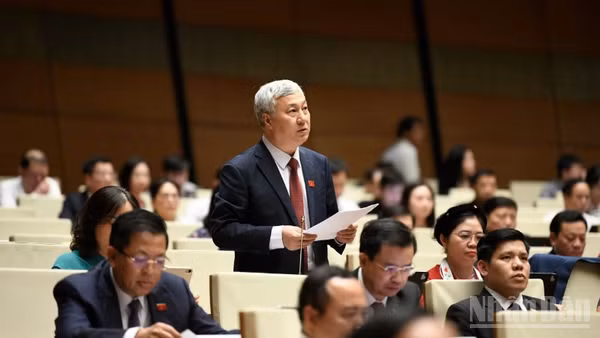 Đại biểu Trần Văn Lâm (Đoàn Bắc Ninh) phát biểu tại hội trường, (Ảnh: DUY LINH)