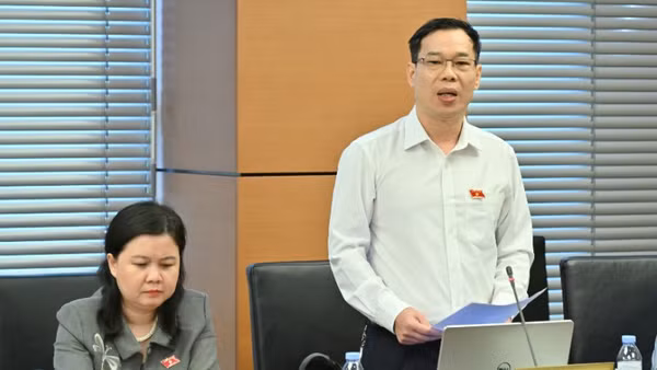 Đại biểu Đỗ Đức Hồng Hà (Đoàn thành phố Hà Nội) phát biểu tại tổ. (Ảnh: QH)