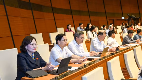 Các đại biểu Quốc hội làm việc tại hội trường. (Ảnh: DUY LINH)