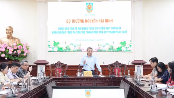 Bộ trưởng Tư pháp Nguyễn Hải Ninh phát biểu tại cuộc họp. (Ảnh: TL)