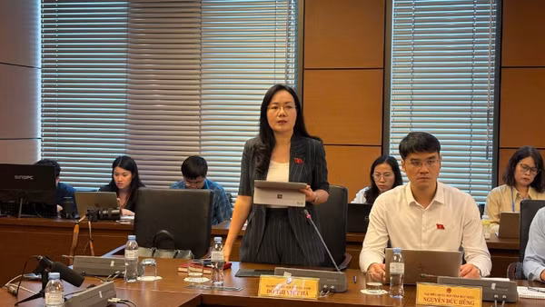 Đại biểu Đỗ Thị Việt Hà (Đoàn Bắc Ninh) phát biểu tại tổ. (Ảnh: TH)