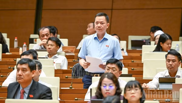 Đại biểu Trịnh Xuân An (Đoàn Đồng Nai) phát biểu tại hội trường. (Ảnh: DUY LINH)