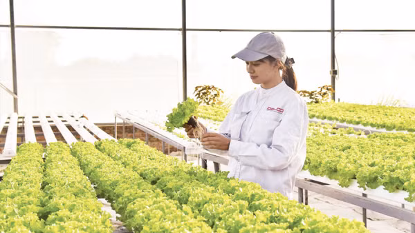 Mô hình trang trại thông minh Delco Farm tại xã Thuận Thành, tỉnh Bắc Ninh được xây dựng và thiết kế theo tiêu chuẩn công nghệ cao. (Ảnh: TUỆ NGHI)