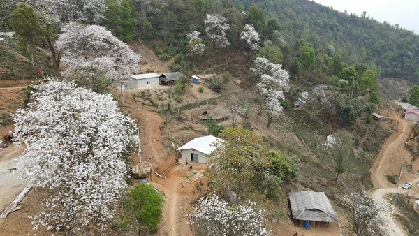 Là vùng đất có nhiều hoa ban - loài hoa đặc trưng của núi rừng Tây Bắc, bởi vậy tỉnh Điện Biên thường tổ chức Lễ hội Hoa Ban vào dịp tháng 3 hằng năm, khi hoa ban bung nở khắp núi đồi. 