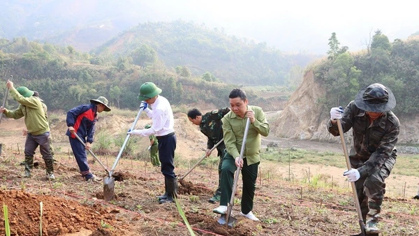 Các đồng chí lãnh đạo cùng nhân dân xã Na Son hưởng ứng Lễ phát động đào hố trồng cây mắc-ca, cà-phê trên địa bàn.
