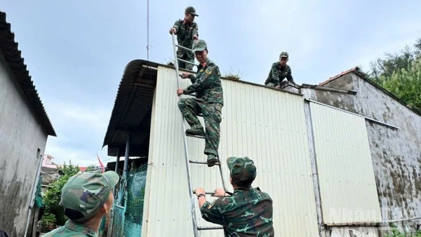 Lực lượng quân đội đóng chân trên địa bàn đặc khu Lý Sơn hỗ trợ người dân chằng chống nhà cửa.