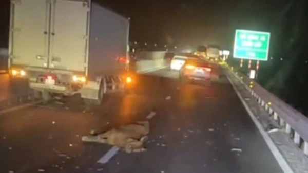 Hiện trường vụ tai nạn.