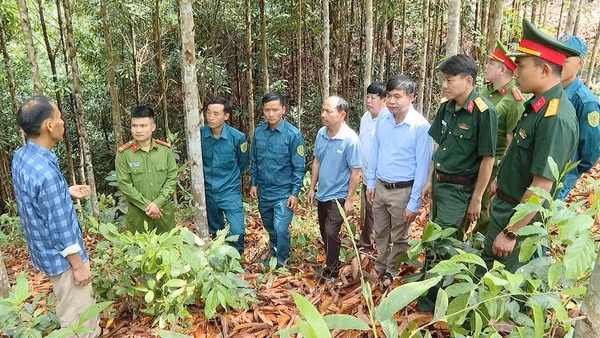 Bí thư chi bộ bản Huổi Pinh Thào Seo Sùng (đầu tiên bên trái) đang giới thiệu quy mô vườn quế của gia đình với cán bộ, nhân dân địa phương. (Ảnh: ĐỨC HẠNH)