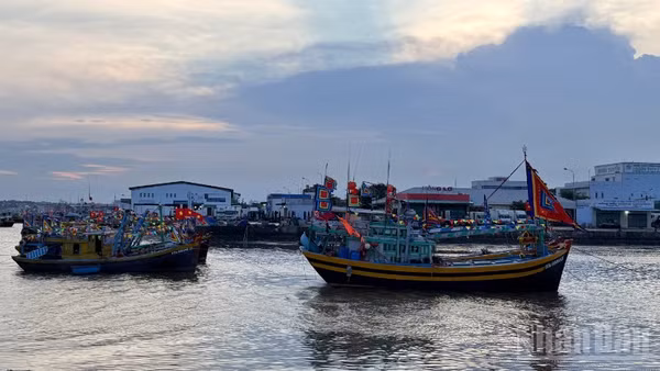 Tàu cá gắn cờ chào mừng Lễ hội Cầu ngư.