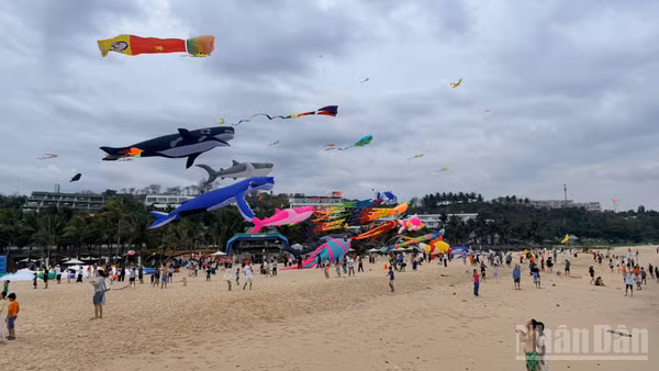 Những cánh diều bay lên bầu trời trên bãi biển đã thu hút nhiều du khách đến vui chơi.