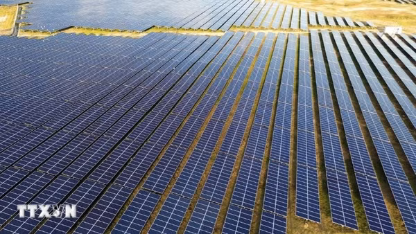 Ảnh minh họa. (Ảnh: TRẦN VIỆT/TTXVN)