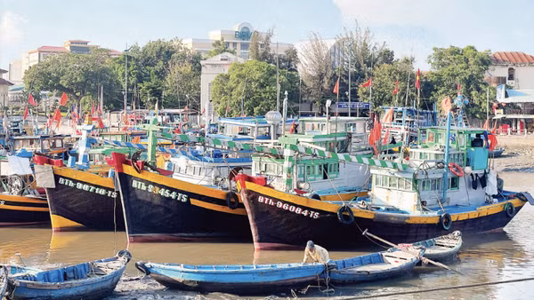 Nhiều tàu cá nằm bờ tại khu vực Cảng cá Phan Thiết (phường Phan Thiết, tỉnh Lâm Đồng). (Ảnh: THANH HẢI)