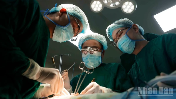 Ê-kíp tiến hành ghép thận cho bệnh nhân.