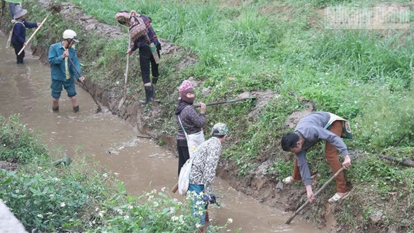 Nhân dân các bản thuộc phường Chiềng An đồng loạt ra quân nạo vét kênh mương nội đồng.