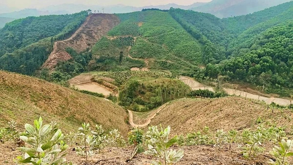 Xã Kim Phượng (Thái Nguyên) tích cực chuẩn bị hiện trường trồng rừng năm 2026.