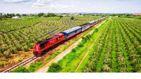 Phát triển các tour đường bộ đến Lâm Đồng.