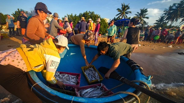 Gần 3 thập kỷ qua, Bivina đã trở thành một phần thân quen trong nhịp sống vùng duyên hải, nơi mỗi giọt mồ hôi đều thấm vị mặn của biển và niềm tự hào lao động.