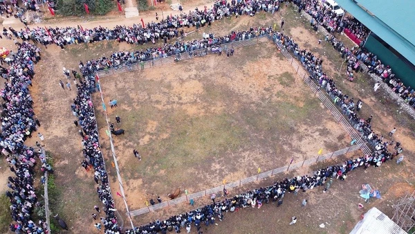 Sân vận động xã Tìa Dình chật kín người theo dõi cuộc thi đấu bò được tổ chức trong sáng ngày 28/12. (Ảnh: TRẦN NHÂM)