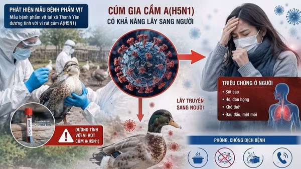 Điện Biên kêu gọi chủ động phòng, chống virus cúm A (H5N1) - chủng vi-rút cúm gia cầm có khả năng lây nhiễm sang người.