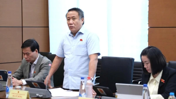 Đại biểu Hà Sỹ Đồng (Đoàn Quảng Trị) phát biểu tại tổ. (Ảnh: TL)