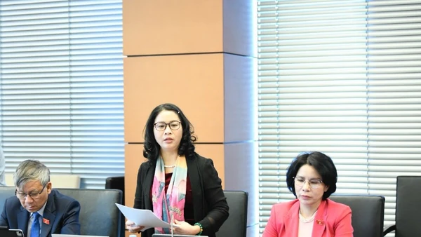 Đại biểu Nguyễn Thị Lan (Đoàn thành phố Hà Nội). (Ảnh: DUY LINH)