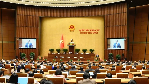 Quốc hội làm việc tại hội trường nghe Tờ trình và Báo cáo thẩm tra dự án Luật Giám định tư pháp (sửa đổi). (Ảnh: DUY LINH)