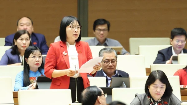 Đại biểu Nguyễn Thị Việt Nga (Phó trưởng Đoàn đại biểu Quốc hội chuyên trách thành phố Hải Phòng) phát biểu. (Ảnh: DUY LINH)