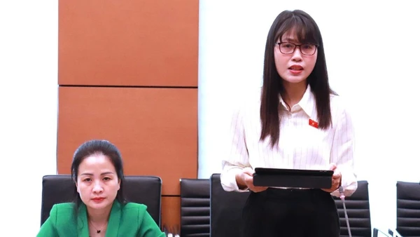 Đại biểu Trần Thị Quỳnh (Đoàn Ninh Bình). (Ảnh: QH)