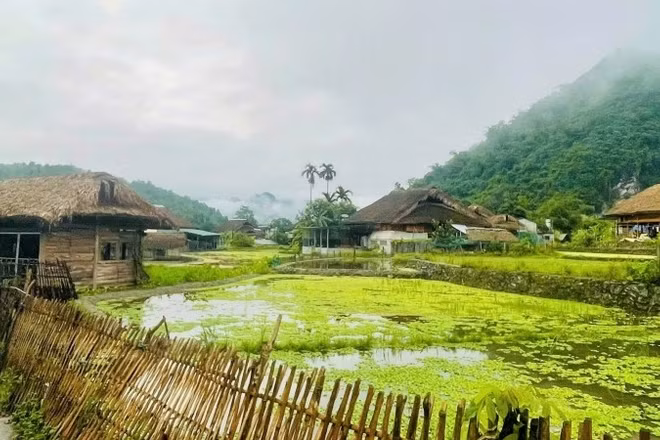 Khung cảnh bình yên ở thôn Tha.