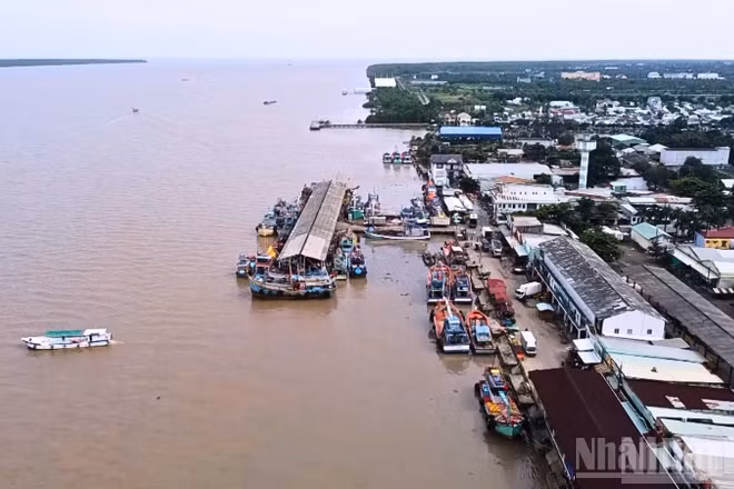 Cảng cá Trần Đề nhìn từ trên cao.