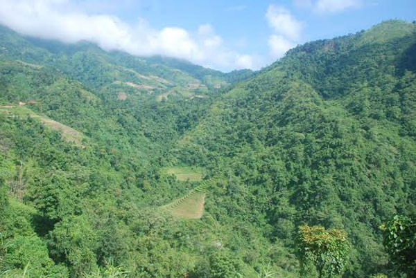 Ấm tình đồng đội nơi chiến trường xưa ảnh 2 Ấm tình đồng đội nơi chiến trường xưa ảnh 2