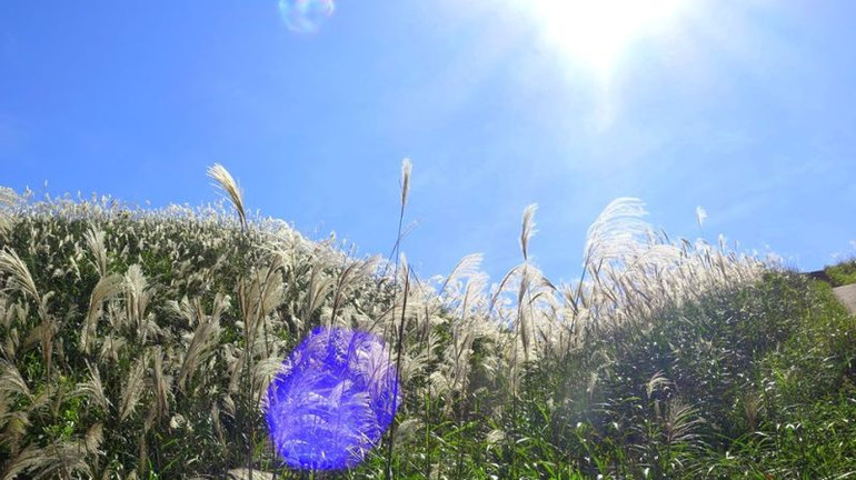 Bình Liêu mùa trở gió ảnh 6