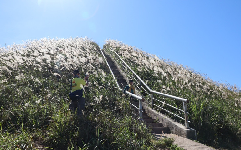Bình Liêu mùa trở gió ảnh 4