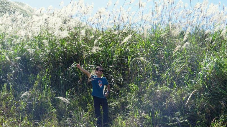 Bình Liêu mùa trở gió ảnh 3