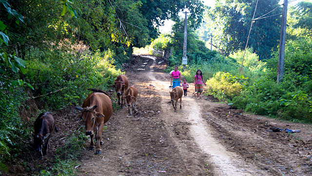 Đổi thay ở Hồng Ngài ảnh 3