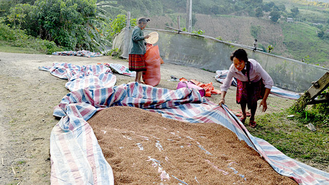 Đổi thay ở Hồng Ngài ảnh 4