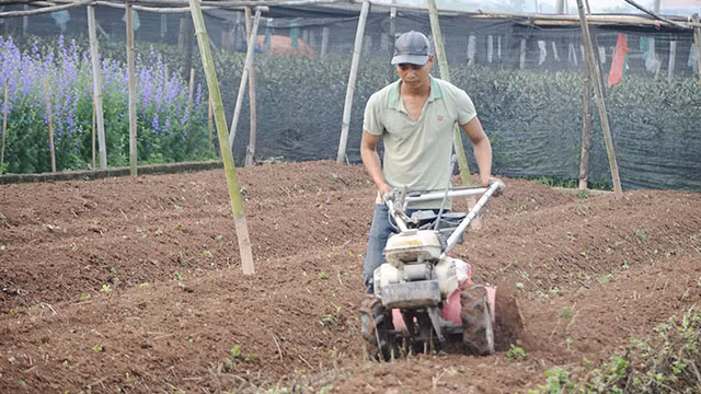 Làng hoa Tây Tựu ảnh 5