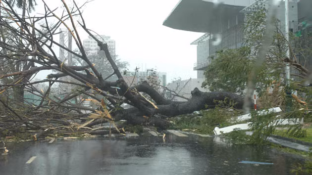 Miền trung hứng trọn sức tàn phá của bão Nari ảnh 4