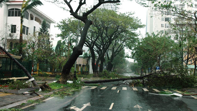 Miền trung hứng trọn sức tàn phá của bão Nari ảnh 2