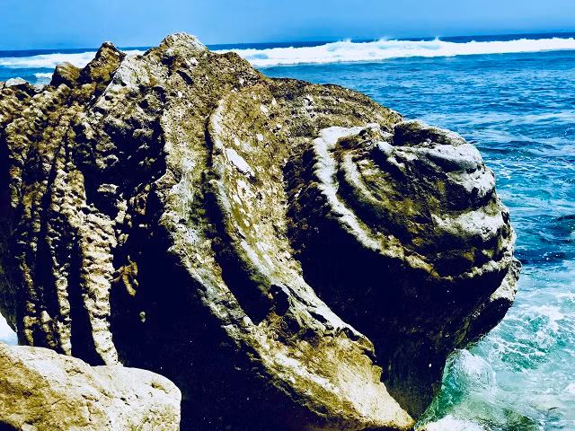 Độc đáo san hô hóa thạch năm nghìn năm ở Việt Nam ảnh 8