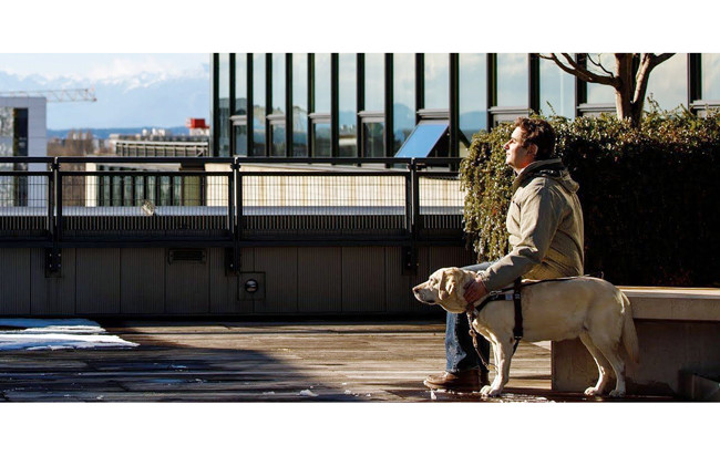 Cái nhìn của một người khiếm thị ảnh 1 Cái nhìn của một người khiếm thị ảnh 1