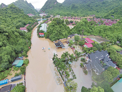 Môi trường - SOS ảnh 1