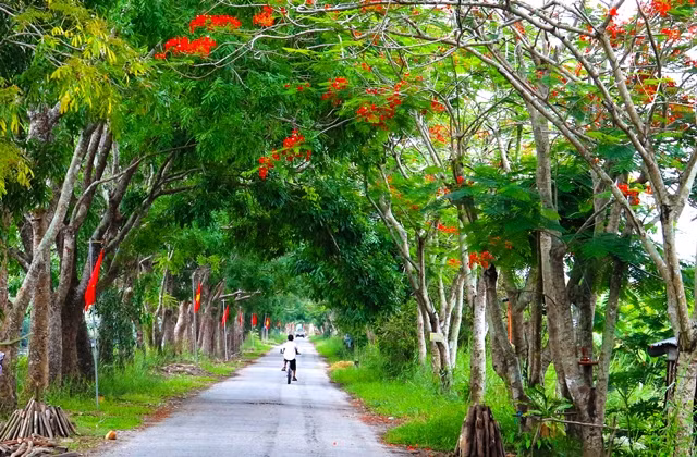 Đặc sắc ba vùng du lịch của Kiên Giang ảnh 2