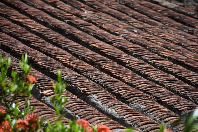 Tích Thiện Đường, ngôi nhà cổ hơn 200 năm tuổi ảnh 13