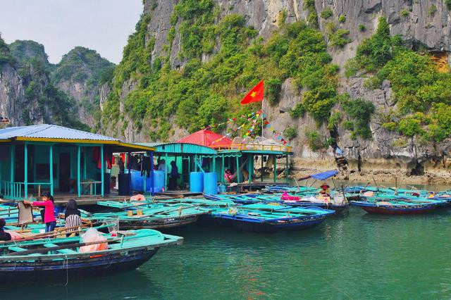 Chèo thuyền kayak giữa di sản thế giới Vịnh Hạ Long ảnh 5